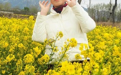 无码国产精品一区二区色情男同